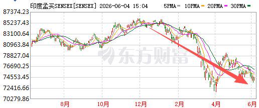 杨瀚森新老板夺冠了!NHL飓风队捧起斯坦利杯:给开拓者打个样?