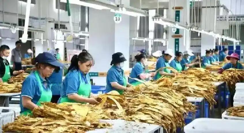 湖人终于开窍!欲3换1引进顶级内线,三巨头成雏形,詹姆斯尴尬